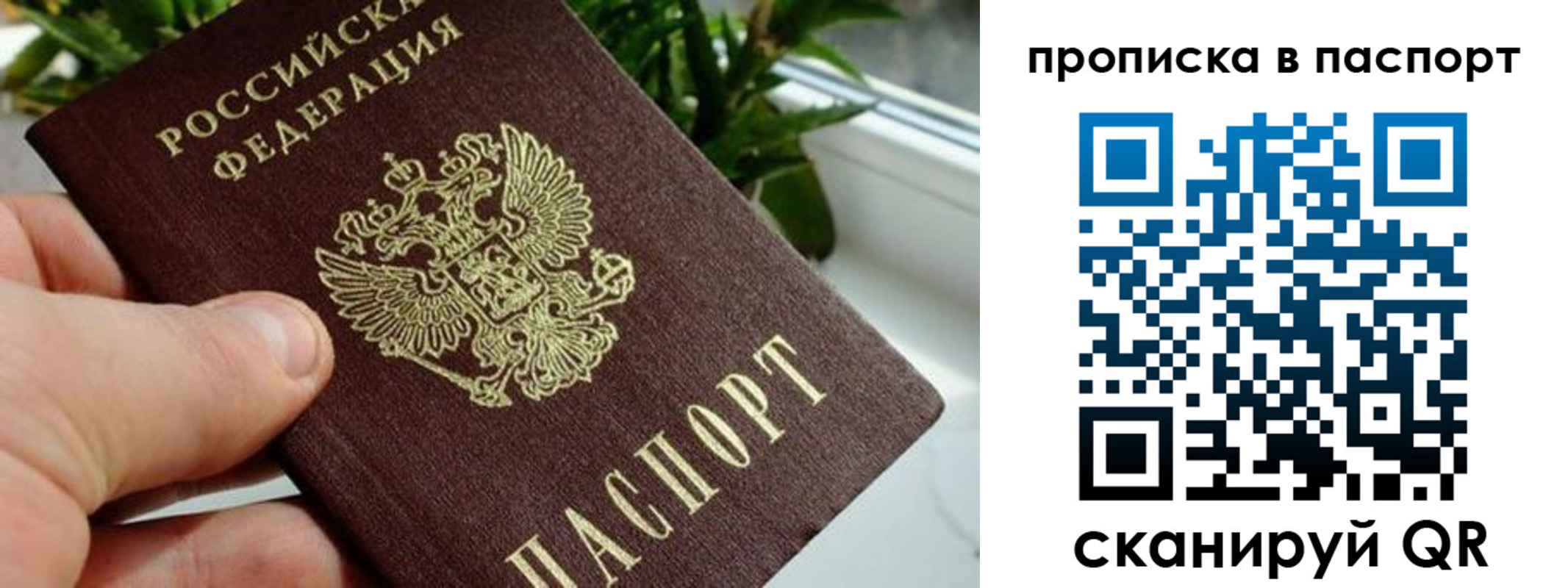 пропишу в квартире в Камне-на-Оби